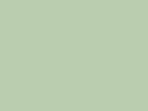 Fußbodenfarbe Weißgrün RAL 6019 matt